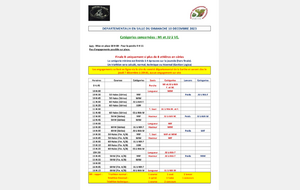 Départementaux Salle Minimes/Juniors et +