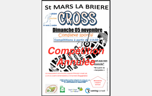 Cross St Mars la Briere